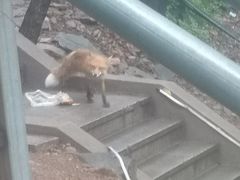 -丹东市五龙山风景区