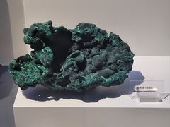 -重庆自然博物馆(新馆)