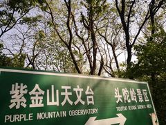 -紫金山山顶公园