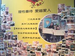 -猫咪博物馆(顶澳仔猫街店)