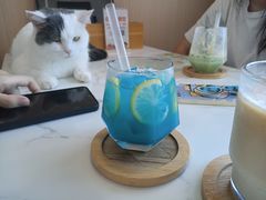 海洋-喵园·猫主题咖啡厅·撸猫·猫咖(国贸店)