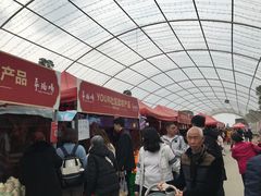 -秀丽东方