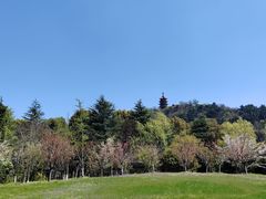 -狼山风景名胜区