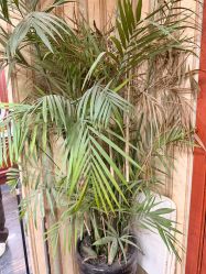 -绅仕門男士理发馆