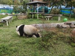 -苏州太湖国家湿地公园