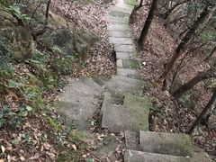 -杭州半山国家森林公园