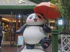 -轩客会(熊猫书店)
