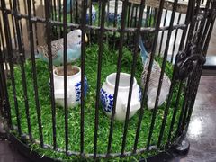 -江门新会碧桂园凤悦凤凰酒店(万达广场店)