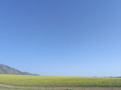 -扁都口生态休闲旅游区