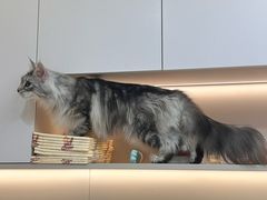 -御宝贝24h宠物医院·转诊中心·CT核磁血透中心(厦门总院)