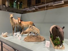 -国家自然博物馆