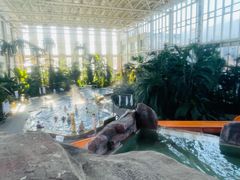 -中家鑫园温泉酒店鑫悦汤泉