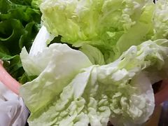 青菜-官塘牛同志牛肉火锅