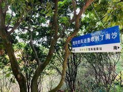 -南沙天后宫景区