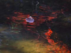 -中国茶叶博物馆(双峰馆区)