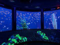 -沈阳海洋探索中心