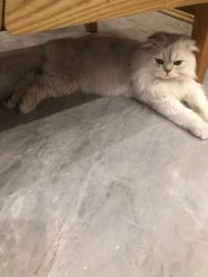 -隅日式美甲美睫專門店