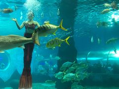 -北戴河圣蓝海洋公园