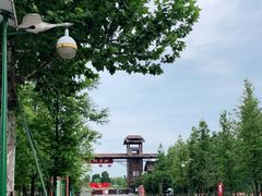 -泗洪洪泽湖湿地景区