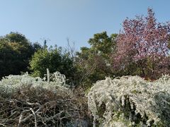 -杭州城北体育公园