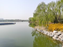 -大兴滨河森林公园