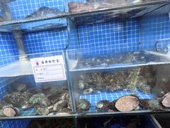 -宾朋海鲜美食餐厅·特色美食(兴海路店)