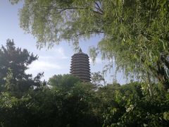-玲珑塔公园