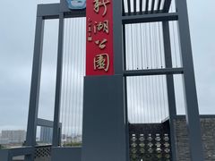 -立新湖公园
