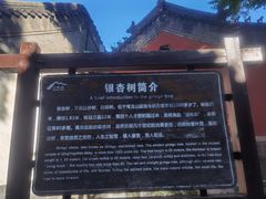 -青龙山风景区