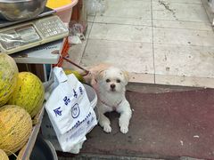-桃源市场(解放路店)