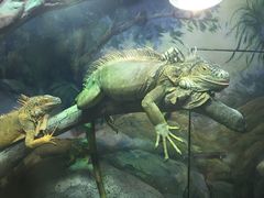 -福州罗源湾海洋世界旅游区