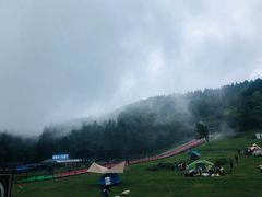 -武陵山森林公园
