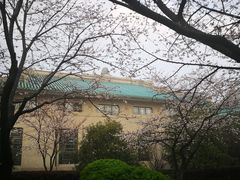 -武汉大学-樱园
