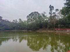 -大雁山风景区