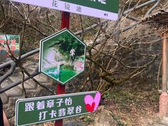-黄山翡翠谷景区