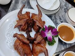 -鸽鸟轩(石岐店)