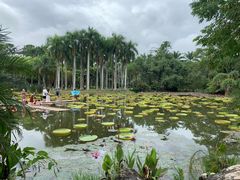 -中国科学院西双版纳热带植物园