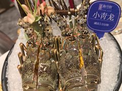 -海月轩海鲜豆捞(紫金塔店)