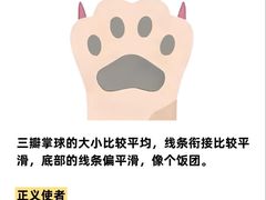 -小猫来了·猫咪专售(红山六九七九店)