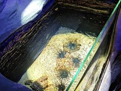 -海合安天津极地海洋公园