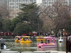 -西苑公园