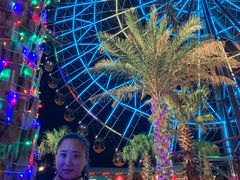 -三亚海昌梦幻海洋不夜城