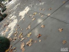 -浙江省杭州高级中学(贡院校区)