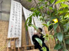 -成都杜甫草堂博物馆