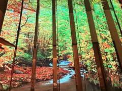 -桂满陇·海市蜃楼·黑金(国金店)