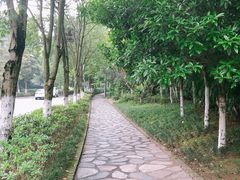 -老君山