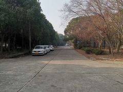 -胜华驾校·小猫学车(银都店)