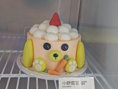 -野人先生现做冰淇淋(北京悠唐购物中心店)