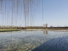 -永定河休闲森林公园