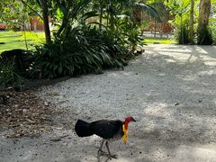 -可伦宾野生动物保护区